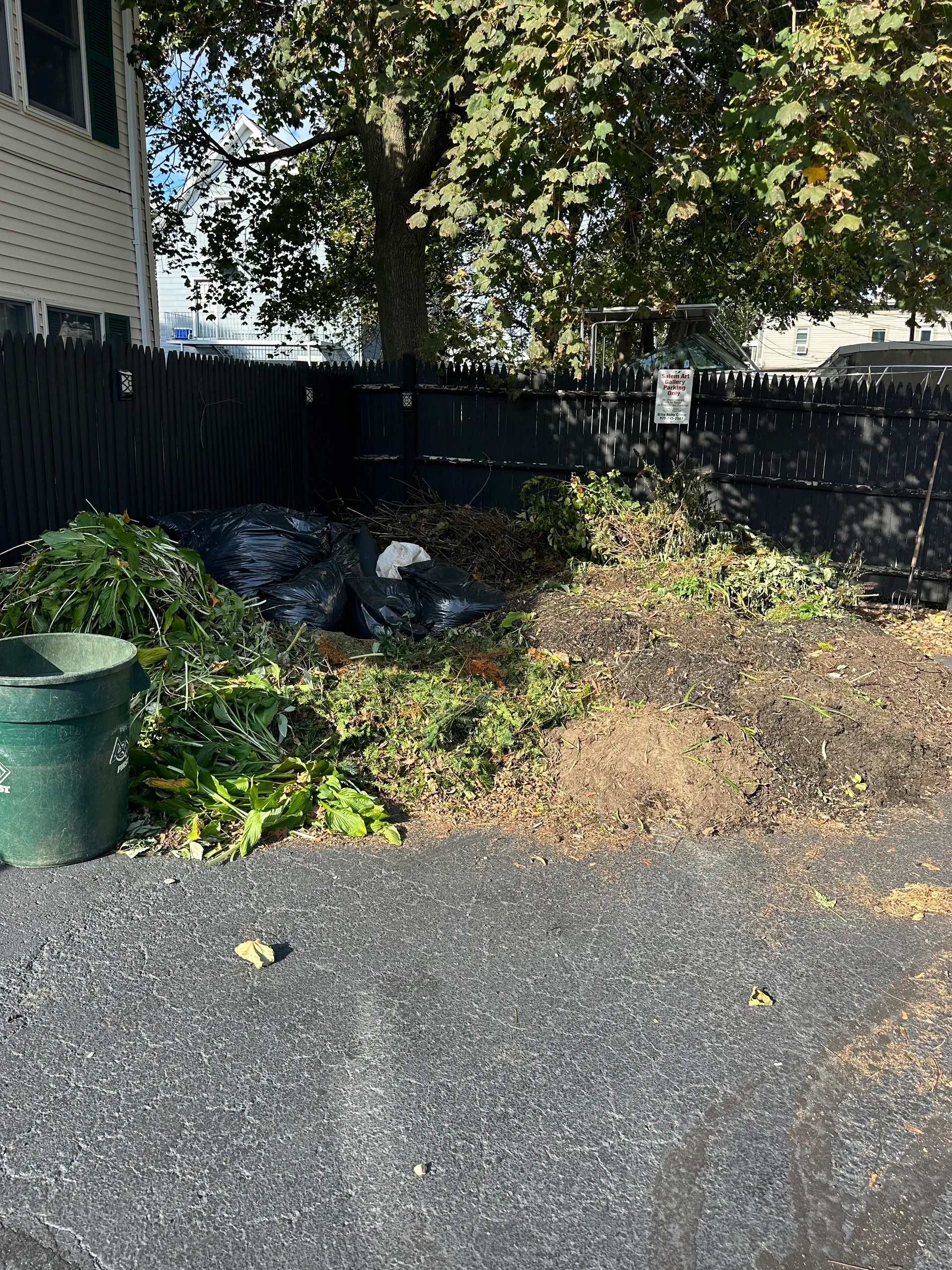 Junk removal job